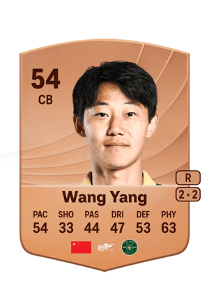 Wang Yang - 54 - Common
