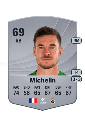 Michelin - 69 - Common