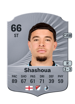 Shashoua - 66 - Rare