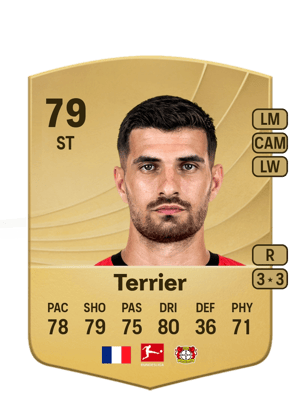 Terrier - 79 - Common