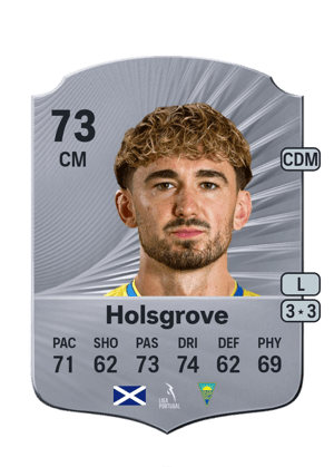 Holsgrove - 73 - Rare