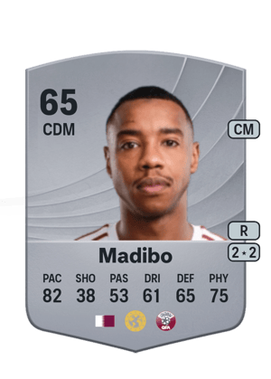 Madibo - 65 - Common