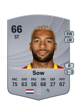 Sow - 66 - Common