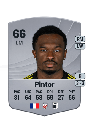 Pintor - 66 - Common