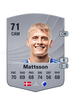 Mattsson - 71 - Common