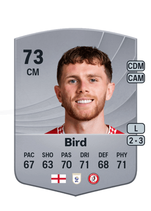 Max Bird