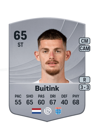 Buitink - 65 - Common