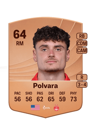 Polvara - 64 - Common