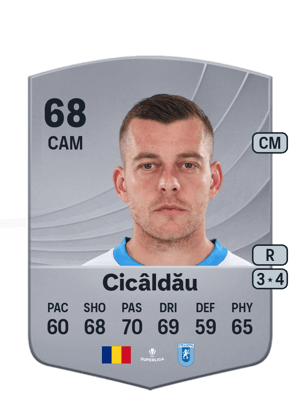 Cicâldău - 68 - Common