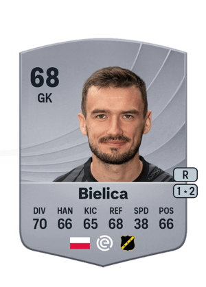 Bielica - 68 - Common