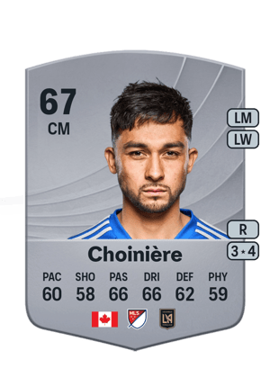 Choinière - 67 - Common