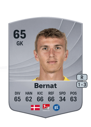 Bernat - 65 - Common