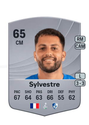 Sylvestre - 65 - Common