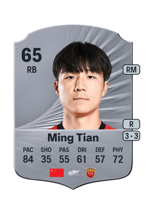 Ming Tian - 65 - Rare