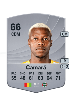 Camará - 66 - Common