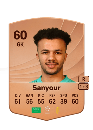 Sanyour - 60 - Common