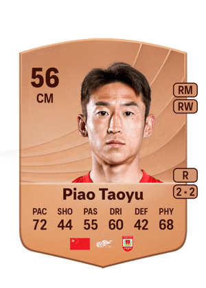 Piao Taoyu - 56 - Common