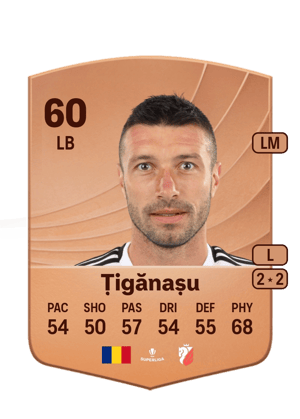 Țigănașu - 60 - Common