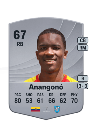 Anangonó - 67 - Common