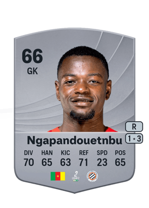 Ngapandouetnbu - 66 - Common