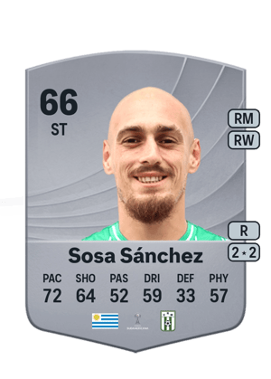 Sosa Sánchez - 66 - Common