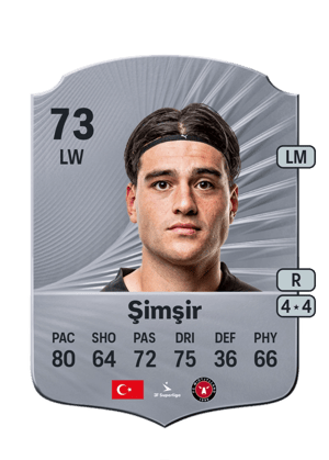 Şimşir - 73 - Rare