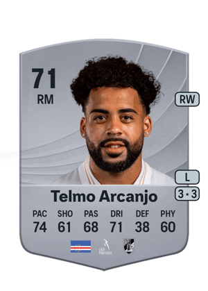 Telmo Arcanjo - 71 - Common