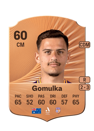 Gomulka - 60 - Rare