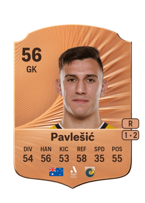 Pavlešić - 56 - Rare