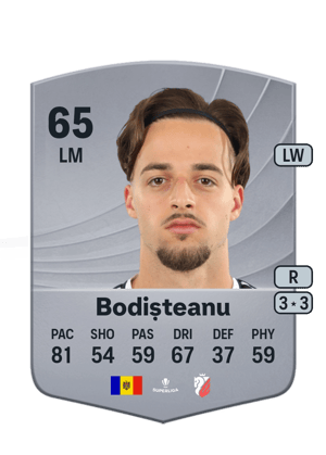 Bodișteanu - 65 - Common