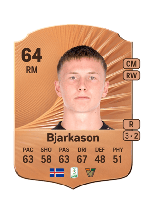 Bjarkason - 64 - Rare