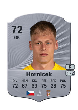 Hornicek - 72 - Rare