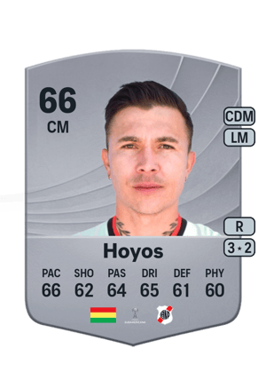 Hoyos - 66 - Common