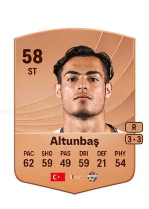 Altunbaş - 58 - Common