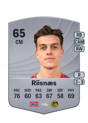 Riisnæs - 65 - Common