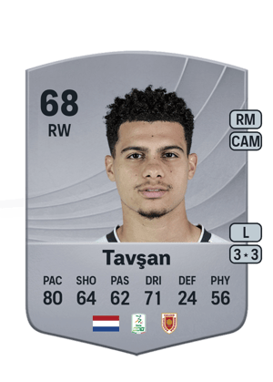 Tavşan - 68 - Common