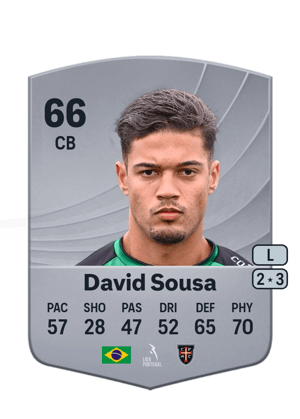 David Sousa - 66 - Common
