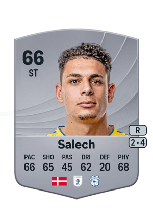 Salech - 66 - Common