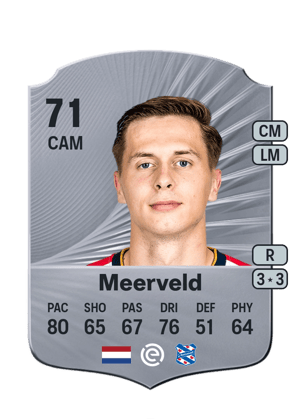 Meerveld - 71 - Rare