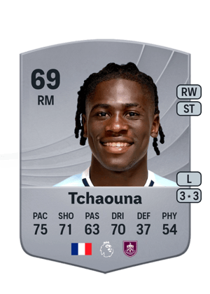 Tchaouna - 69 - Common