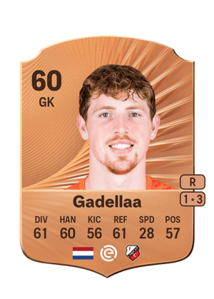 Gadellaa - 60 - Rare