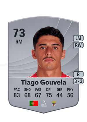 Tiago Gouveia - 73 - Common