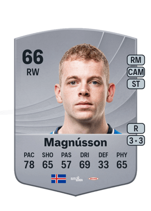 Magnússon - 66 - Common