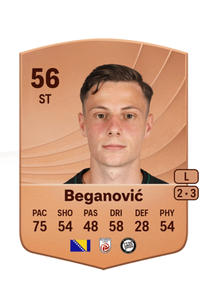 Beganović - 56 - Common