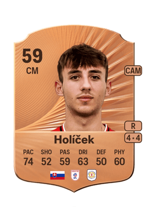 Holíček - 59 - Rare