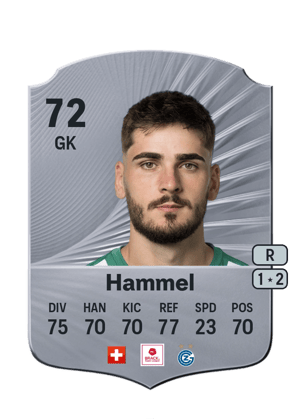 Hammel - 72 - Rare