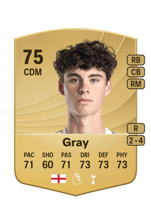 Gray - 75 - Common