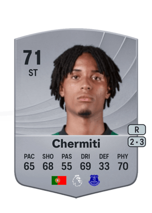 Chermiti - 71 - Common