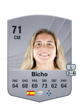 Bicho - 71 - Common