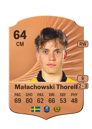Małachowski Thorell - 64 - Rare